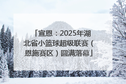 宣恩：2025年湖北省小篮球超级联赛（恩施赛区）圆满落幕