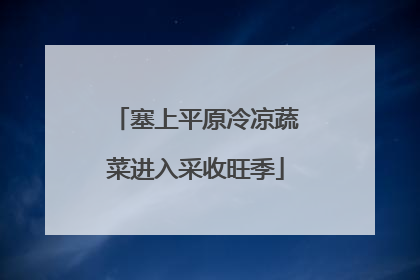 塞上平原冷凉蔬菜进入采收旺季
