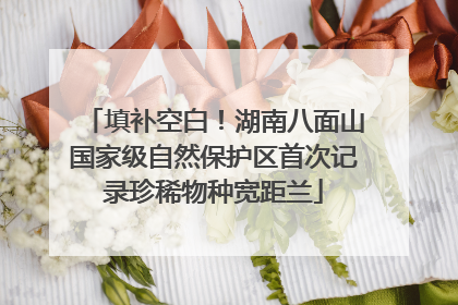 填补空白！湖南八面山国家级自然保护区首次记录珍稀物种宽距兰