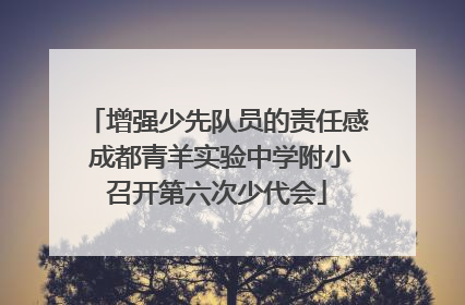增强少先队员的责任感 成都青羊实验中学附小召开第六次少代会