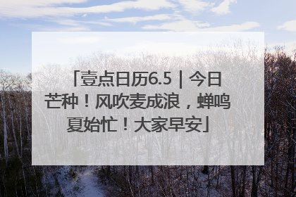 壹点日历6.5｜今日芒种！风吹麦成浪，蝉鸣夏始忙！大家早安