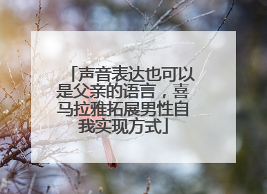 声音表达也可以是父亲的语言，喜马拉雅拓展男性自我实现方式