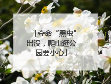 夺命“黑虫”出没，爬山逛公园要小心