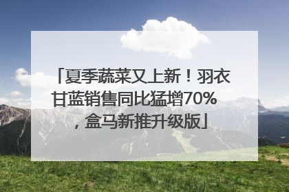 夏季蔬菜又上新！羽衣甘蓝销售同比猛增70%，盒马新推升级版