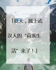 夏天，属于武汉人的“荷系生活”来了！