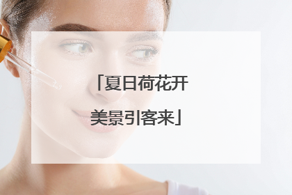 夏日荷花开 美景引客来