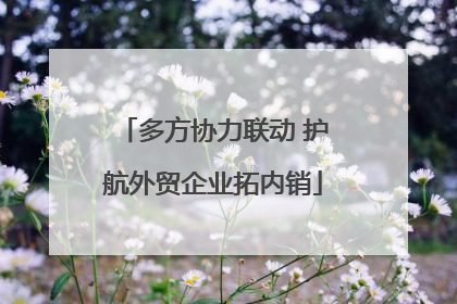 多方协力联动 护航外贸企业拓内销