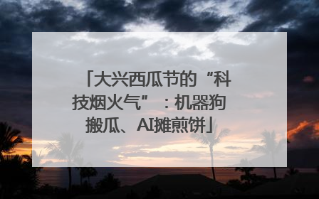 大兴西瓜节的“科技烟火气”：机器狗搬瓜、AI摊煎饼