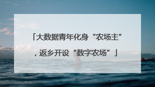 大数据青年化身“农场主”，返乡开设“数字农场”