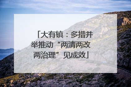 大有镇：多措并举推动“两清两改两治理”见成效