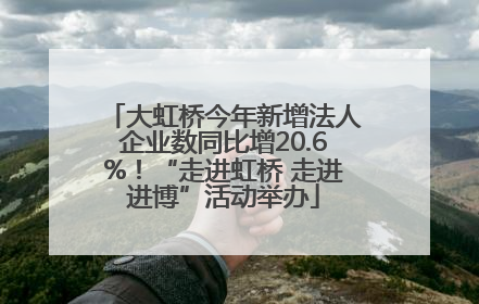大虹桥今年新增法人企业数同比增20.6%！“走进虹桥 走进进博”活动举办