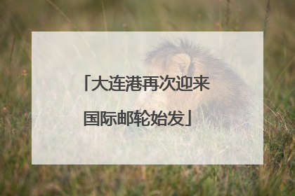 大连港再次迎来国际邮轮始发
