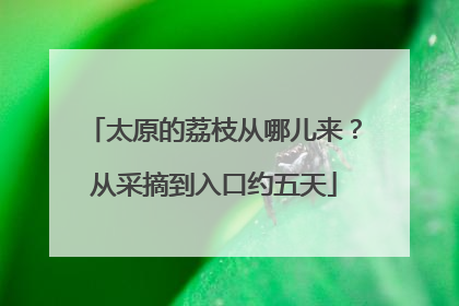 太原的荔枝从哪儿来？从采摘到入口约五天