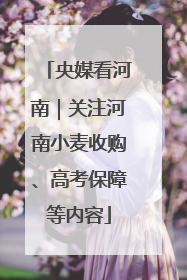 央媒看河南｜关注河南小麦收购、高考保障等内容