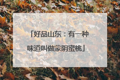 好品山东：有一种味道叫做蒙阴蜜桃
