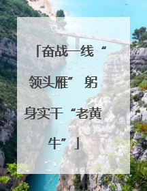 奋战一线“领头雁” 躬身实干“老黄牛”