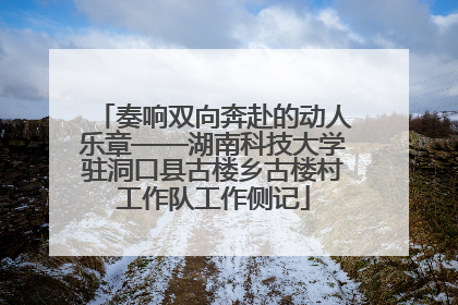奏响双向奔赴的动人乐章——湖南科技大学驻洞口县古楼乡古楼村工作队工作侧记