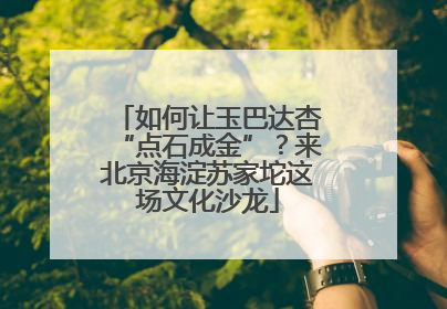 如何让玉巴达杏“点石成金”？来北京海淀苏家坨这场文化沙龙