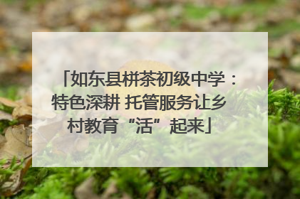 如东县栟茶初级中学：特色深耕 托管服务让乡村教育“活”起来