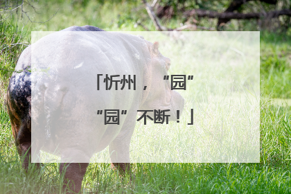 忻州，“园”“园”不断！
