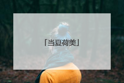 当夏荷美