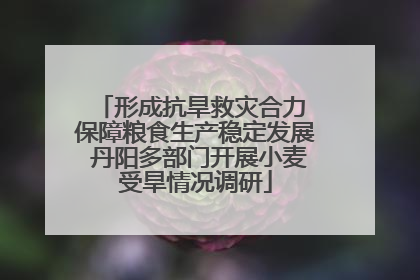 形成抗旱救灾合力 保障粮食生产稳定发展 丹阳多部门开展小麦受旱情况调研