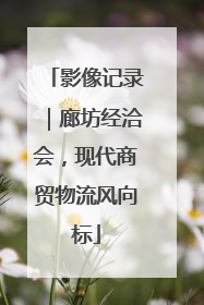 影像记录｜廊坊经洽会，现代商贸物流风向标