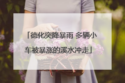 德化突降暴雨 多辆小车被暴涨的溪水冲走