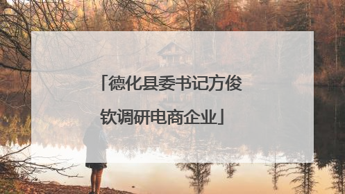 德化县委书记方俊钦调研电商企业