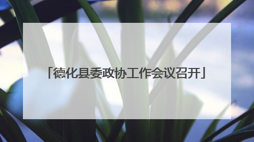德化县委政协工作会议召开