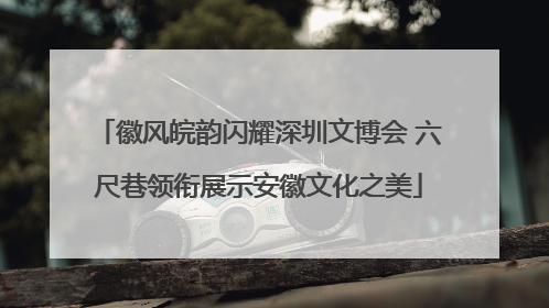 徽风皖韵闪耀深圳文博会 六尺巷领衔展示安徽文化之美