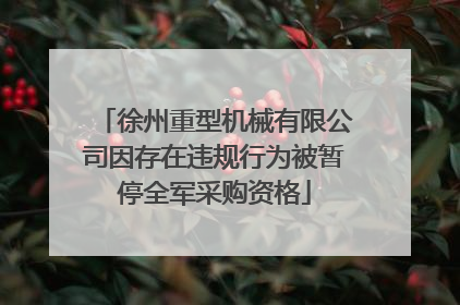 徐州重型机械有限公司因存在违规行为被暂停全军采购资格