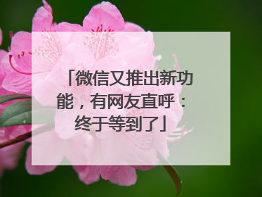 微信又推出新功能，有网友直呼：终于等到了