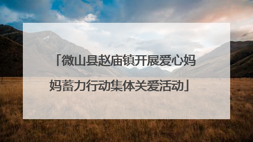 微山县赵庙镇开展爱心妈妈蓄力行动集体关爱活动