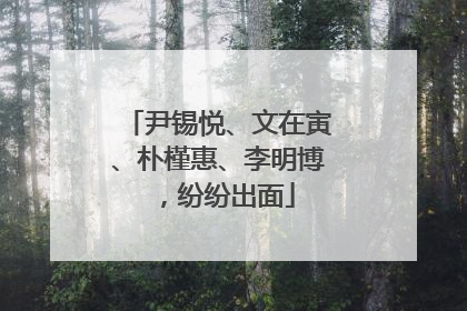尹锡悦、文在寅、朴槿惠、李明博，纷纷出面