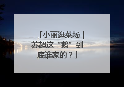 小丽逛菜场｜苏超这“鹅”到底谁家的？