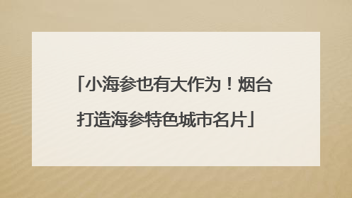 小海参也有大作为！烟台打造海参特色城市名片