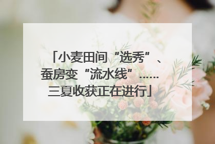 小麦田间“选秀”、蚕房变“流水线”……三夏收获正在进行
