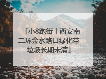 小8跑街丨西安南二环金水路口绿化带垃圾长期未清