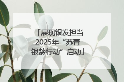 展现银发担当 2025年“苏青银龄行动”启动