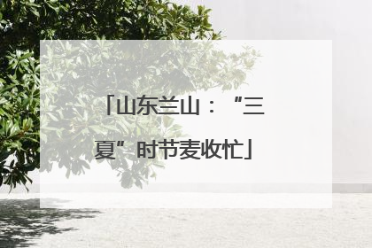 山东兰山：“三夏”时节麦收忙
