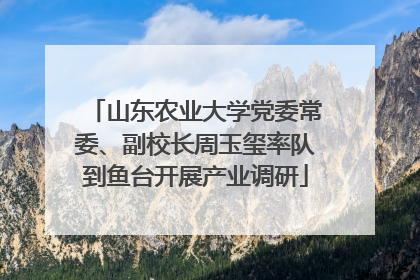 山东农业大学党委常委、副校长周玉玺率队到鱼台开展产业调研