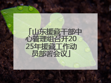 山东援藏干部中心管理组召开2025年援藏工作动员部署会议