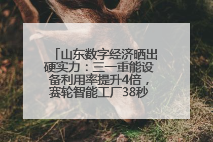 山东数字经济晒出硬实力：三一重能设备利用率提升4倍，赛轮智能工厂38秒生产一条轮胎