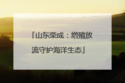 山东荣成：增殖放流守护海洋生态