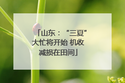 山东：“三夏”大忙将开始 机收减损在田间