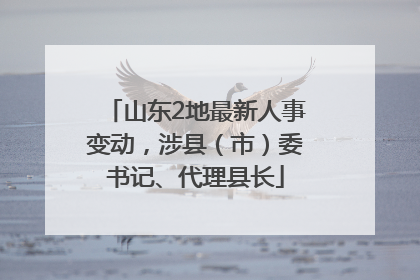 山东2地最新人事变动，涉县（市）委书记、代理县长