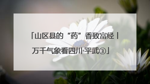 山区县的“药”香致富经丨万千气象看四川·平武③