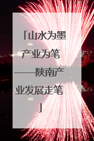 山水为墨 产业为笔——陕南产业发展走笔