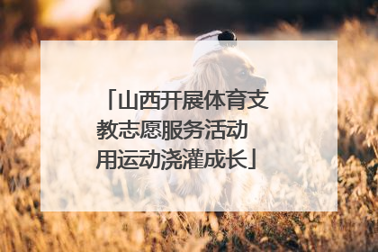 山西开展体育支教志愿服务活动 用运动浇灌成长